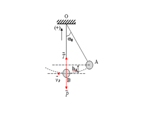 CÁC DẠNG BÀI TẬP THƯỜNG GẶP TRONG CHƯƠNG ĐỊNH LUẬT BẢO TOÀN CƠ NĂNG ( Phần 3)